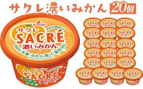 ◇期間限定◇サクレ濃いみかん 20個セット ｜ フタバ食品 アイス かき氷 デザート ※離島への配送不可