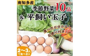 旬の季節野菜セット(10～12品目)&平飼い玉子10個