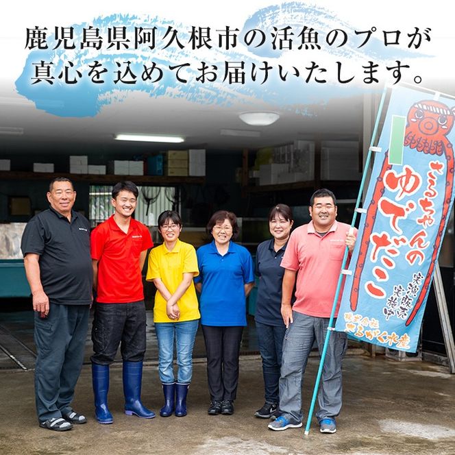 鮮度抜群！自社加工ブリ(片身分・1～1.5kg) ブリ 鰤 魚貝 魚介 海産物 刺身 焼き魚 煮つけ 真空パック【さるがく水産】akn028-24