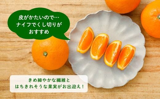 【先行受付】【家庭用】清見オレンジ 5kg | みかん 柑橘 ミカン 蜜柑 mikan 果物 フルーツ 糖度 甘い きよみ タンゴール 温州 オレンジ ミックス 愛媛県 伊方町 Misaki Base ※2025年3月中旬～4月中旬頃に順次発送予定 ※離島への配送不可