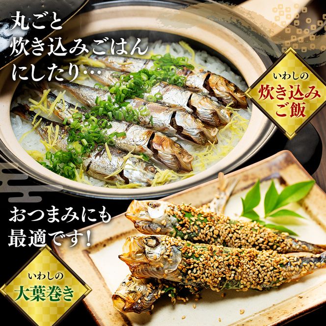 いわし 丸干し 48尾 ( 8尾 × 6 パック ) 干物 冷凍 小分け 愛知県 南知多町 ご飯 ごはん おかず おつまみ 魚 さかな 鰯 金鯱 イワシ 栄養 料理 カネ成 国産 人気 おすすめ