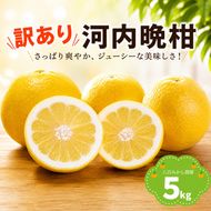 【先行予約】 訳あり 河内晩柑 5kg <発送期間：2027年4月上旬～無くなり次第終了> 八百みかん農園 の かわちばんかん 7000円 家庭用 5kg 先行 事前 予約 受付 みかん 愛南ゴールド 美生柑 文旦 グレープフルーツ 和製 防腐剤不使用 愛媛 産地直送 国産 農家直送 糖度 果樹園 期間限定 数量限定 特産品 ジュース 人気 限定 愛南  新鮮 さわやか 甘い フルーツ 果物 柑橘 蜜柑