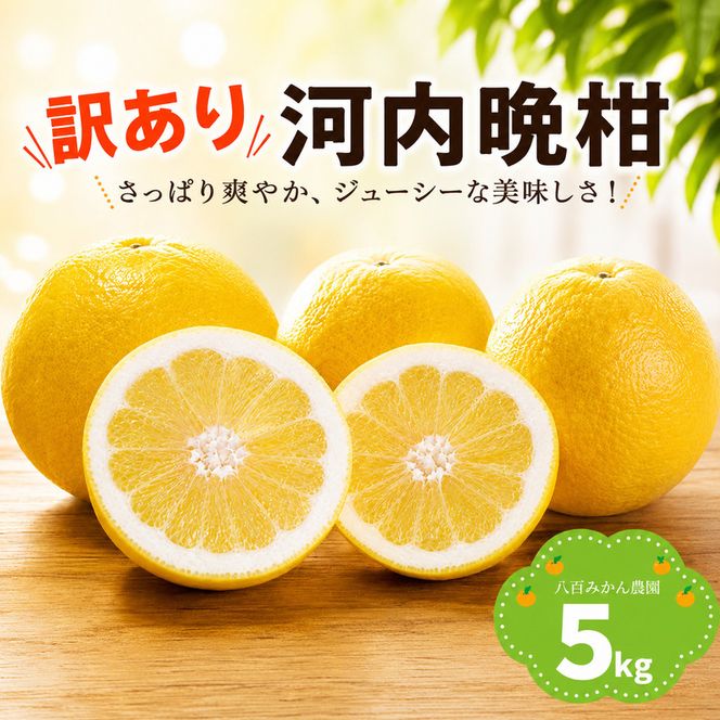 【先行予約】 訳あり 河内晩柑 5kg <発送期間：2027年4月上旬～無くなり次第終了> 八百みかん農園 の かわちばんかん 7000円 家庭用 5kg 先行 事前 予約 受付 みかん 愛南ゴールド 美生柑 文旦 グレープフルーツ 和製 防腐剤不使用 愛媛 産地直送 国産 農家直送 糖度 果樹園 期間限定 数量限定 特産品 ジュース 人気 限定 愛南  新鮮 さわやか 甘い フルーツ 果物 柑橘 蜜柑