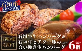 【産地直送】石垣牛生ハンバーグ＆石垣牛とアグー豚の合い挽き生ハンバーグ【合計720g】【日本最南端の黒毛和牛】KB-102