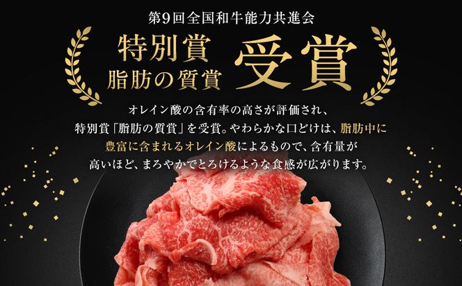 能登牛　切り落とし　500g(500g×1パック)　国産　石川県　黒毛和牛　牛肉　牛丼　肉じゃが　カレー　牛肉料理 172111_DK001