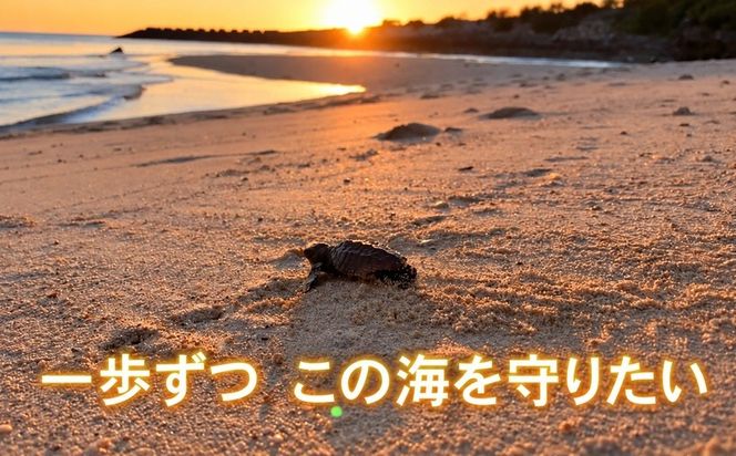 【読谷村の美しい海への寄付】＜沖縄＞ウミガメ保護活動（応援寄付金）沿海環境保全・ウミガメの産卵地・沖縄の海を未来のこどもたちへ