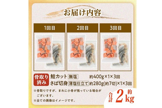 【定期便・全3回(連続)】骨取り さば切身と鮭カットのセット(総量約2kg) 鮭 小分け 冷凍 サーモン シャケ サケ サバ 鯖 骨なし 骨取り セット 魚 魚介 【AW-105】【丸正水産】