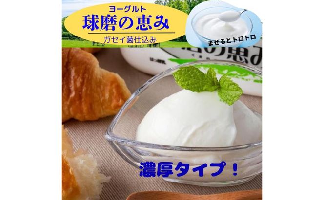 ヨーグルト もっちり、とろ～りの2つに食感！ 球磨の恵みヨーグルト (砂糖不使用)  3kg 【配送不可：沖縄県、離島】