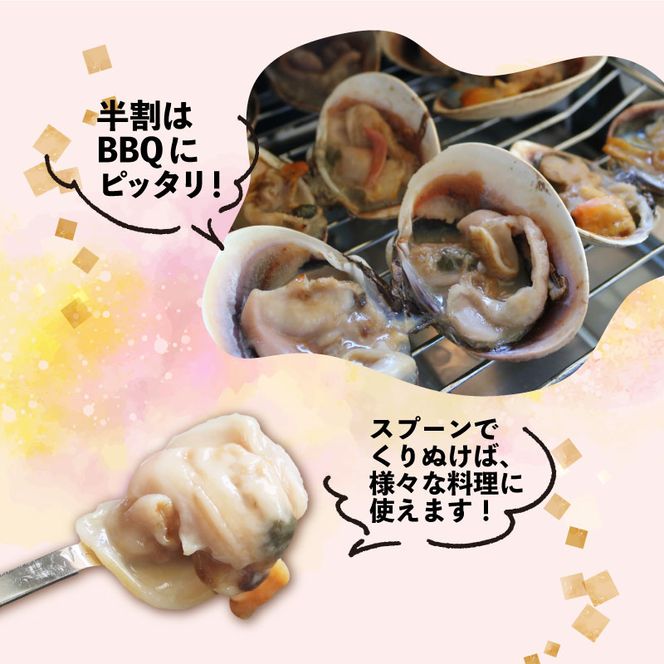 【限定寄附額】 大アサリ 半割 約1kg おおあさり