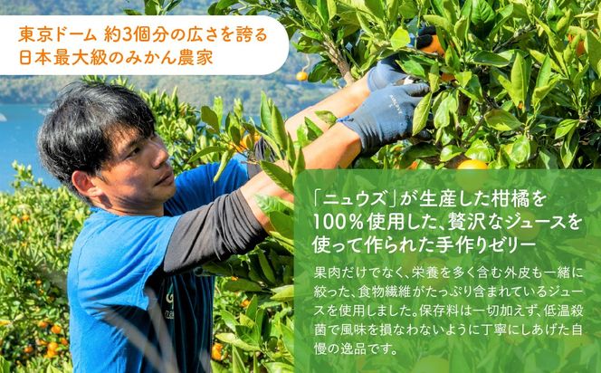【皮までまるごと国産無添加】愛媛まるごとゼリーセット（12個） IKTF012