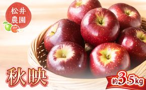 信州小諸　松井農園の秋映　約3.5kg 果物類 林檎 りんご リンゴ