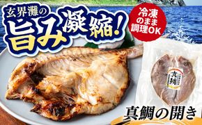 糸島玄界灘産 真鯛 1枚  糸島市 / 有限会社 糸島海産 / 開き / 肴[AMR012]
