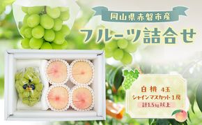 桃 ぶどう 2026年 数量限定 岡山 白桃 4玉 シャインマスカット 1房 詰合せ 計1.5kg以上