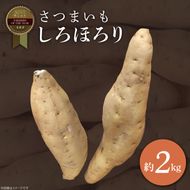 【2025年11月より順次発送】2025年度産 さつまいも しろほろり 約2kg｜さつまいも 芋 お芋 しろほろり 渋谷農園 先行予約 茨城県 行方市(BZ-60)