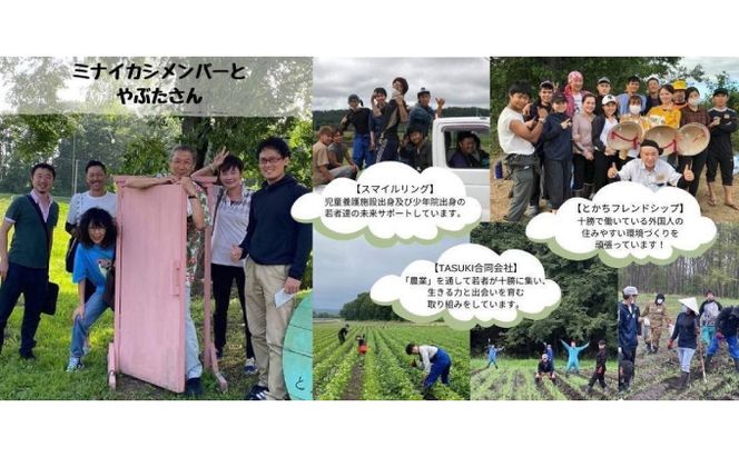 自然栽培かぼちゃをマッシュした「ミナイカシの皮イイカボチャ」110g×6 野菜 根菜 野菜加工品 南瓜 