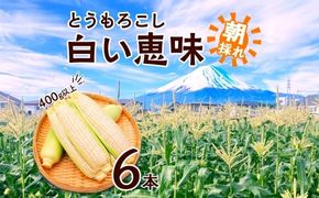 ＜2026年発送先行予約＞とうもろこし 白い恵味 ホワイト 400g以上×6本 高糖度 トウモロコシ スイートコーン 玉蜀黍 白 コーン 夏野菜 ジューシー 野菜 おやつ 甘い 旬 産地直送 送料無料 湖南野菜出荷組合 山梨県 富士河口湖町 FEM005
