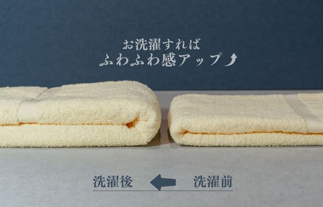 099H3696 カラーバスタオル 4枚 （イエロー）【泉州タオル 国産 吸水 普段使い シンプル 日用品 家族 ファミリー】