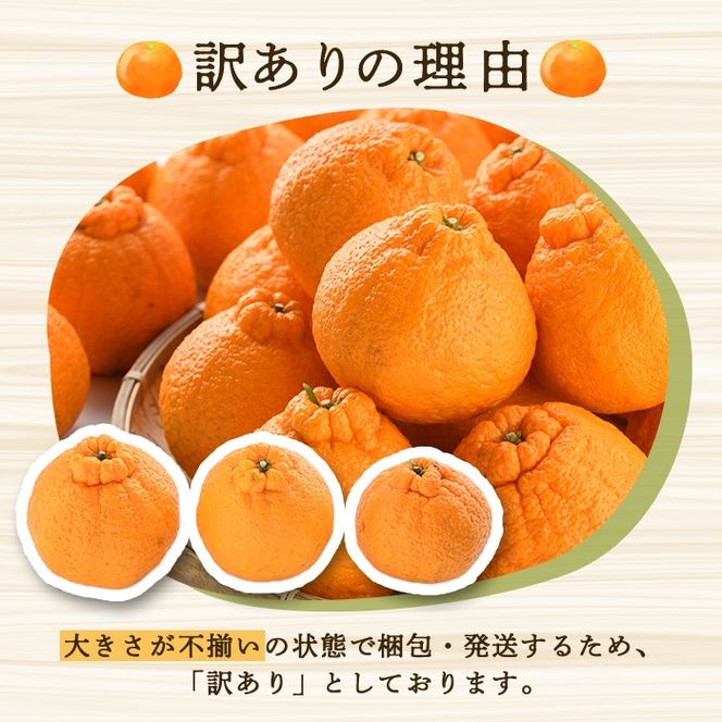 訳あり！露地栽培の不知火(4kg) 国産 不知火 しらぬい 柑橘 果物 フルーツ デザート 露地 果実 期間限定 数量限定【古田果樹園】akn093-03