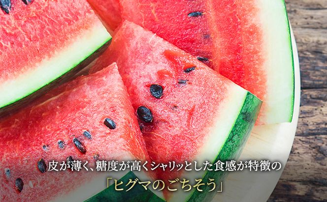 【2026年夏発送】富良野産 ヒグマのごちそう(すいか)[1玉 5L以上 9kg以上/玉] スイカ 果物