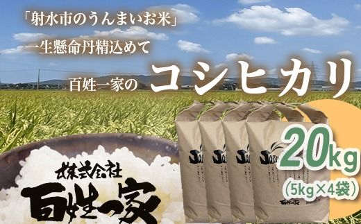 【射水市】【射水の美味しいお米】百姓一家のコシヒカリ 20kg（5kg×4）【精米】※離島への配送不可