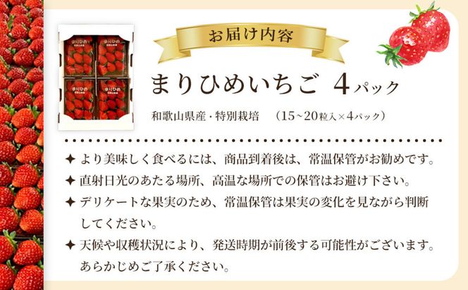先行予約 まりひめいちご 15～20粒入×4パック 食べやすいひと口サイズ こだわり 農家厳選 ［KG32］ 303446_XM90032