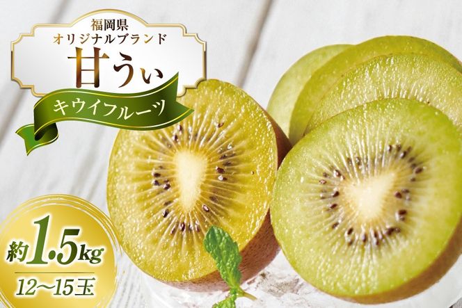 キウイ 甘うぃ 約1.5kg 【期間限定発送】 [南国フルーツ 福岡県 宇美町 um40azo970032] 先行予約 福岡県産 キウイフルーツ フルーツ 果物 くだもの 果実 甘い あまい