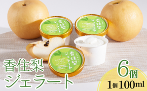 【香住梨ジェラート 100ml×6個】 梨 なし ナシ 果物 フルーツ ジェラート 二十世紀梨 手作り シャーベット ギフト セット 氷菓子 アイス 国産 兵庫県産 香美町産 香住産 日本海 山陰 果物 お中元 お歳暮 お祝い 贈り物 ふるさと納税 おすすめ 返礼品 senco-ya（仙古屋） 42-01