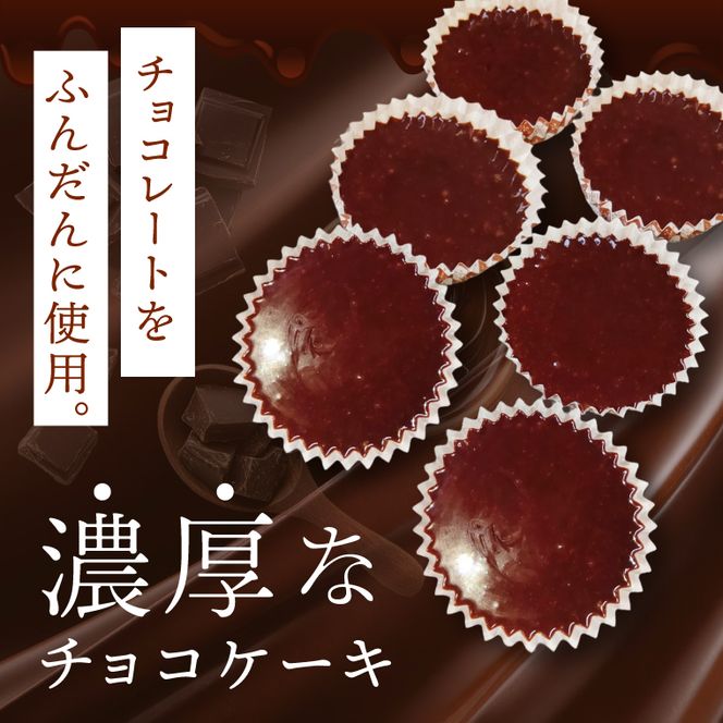 とろけるチョコケーキ【チョコレート 生チョコ 濃厚 おやつ プレゼント】(CK203)