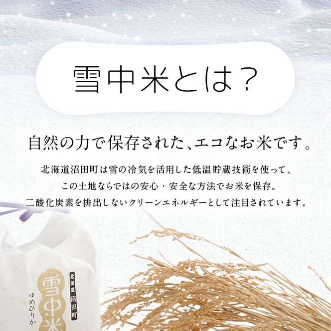 令和7年産 特Aランク米 ななつぼし 精米 5kg（5kg×1袋）【7月発送】 雪冷気 籾貯蔵 雪中米 北海道 nr-1439