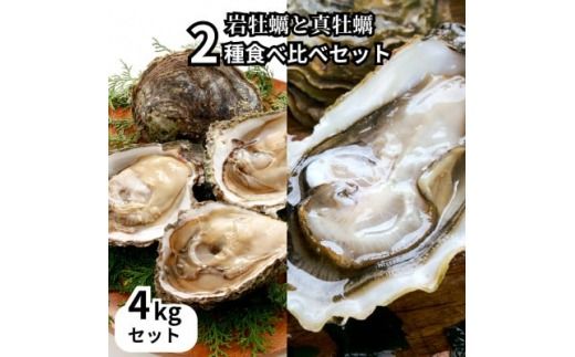 篠島の2種の天然殻付きカキ4kg(岩牡蠣&真牡蠣)食べ比べセット 生食用/CAS冷凍　海鮮BBQに!