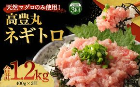 【３回定期便】 ネギトロ 1.2kg (400g×3回) 天然まぐろ 高品質 まぐろ マグロ たたき まぐろのたたき 訳あり 寿司 小分け 海鮮丼 手巻き寿司 惣菜 規格外 不揃い 冷凍 故郷納税 送料無料 室戸のネギトロ 室戸