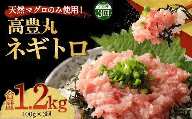 【３回定期便】 ネギトロ 1.2kg (400g×3回) 天然まぐろ 高品質 まぐろ マグロ たたき まぐろのたたき 訳あり 寿司 小分け 海鮮丼 手巻き寿司 惣菜 規格外 不揃い 冷凍 故郷納税 送料無料 室戸のネギトロ 室戸