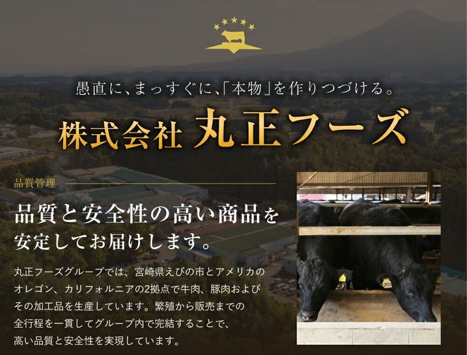 宮崎県産 黒牛 焼肉 赤身 牛肉 焼肉セット ロース 肩ロース ミスジ 2点盛り 560g(280g × 2パック)焼肉用 肉 お肉 牛 国産牛 食べ比べ セット 小分け 真空パック コスパ 冷凍 贈答 贈答用 ギフト BBQ アウトドア キャンプ 人気 国産 国産牛 九州 宮崎県 えびの市 送料無料