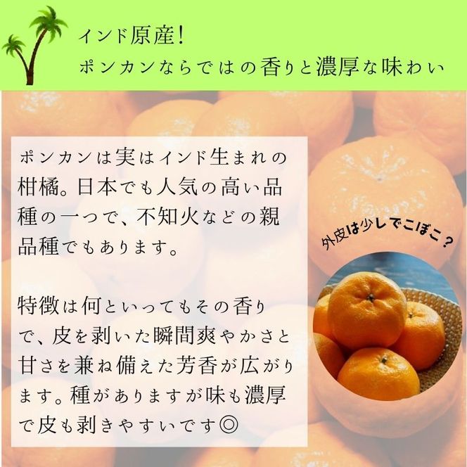 かんきつの本場　ありだのポンカン (約5kg)（A157-1）