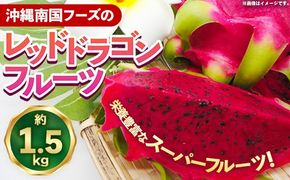 【2026年発送】南国フーズのドラゴンフルーツ 【レッドドラゴンフルーツ】 約1.5kg - 赤 果肉 レッド ピタヤ スーパーフルーツ 先行受付 先行予約 人気 抗酸化作用 ベタシアニン おすすめ 国産 沖縄県 八重瀬町