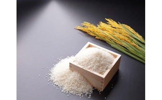 令和7年産米 真庭市産 太安さんちのあきたこまち 無洗米 5kg / お米 岡山県 人気 ブランド 2025年産 【tkns016-01-cho】