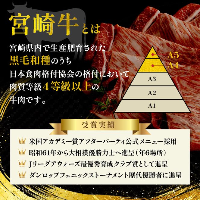宮崎牛ヒレステーキ2枚300g N0140-YB722