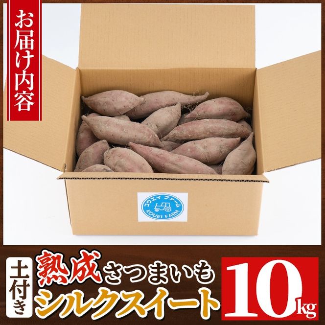 a845 《種類・内容量が選べる》鹿児島県産さつまいも土付き5～10kg(シルクスイート・紅はるか)【コウエイ環境】姶良市 鹿児島県産 さつまいも サツマイモ 熟成芋 さつま芋 シルクスイート 紅はるか 5kg 10kg 生芋