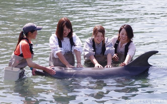 太地町立くじら博物館　入館チケット大人2名分/チケット 入館券 博物館 くじら 鯨【kzr002】