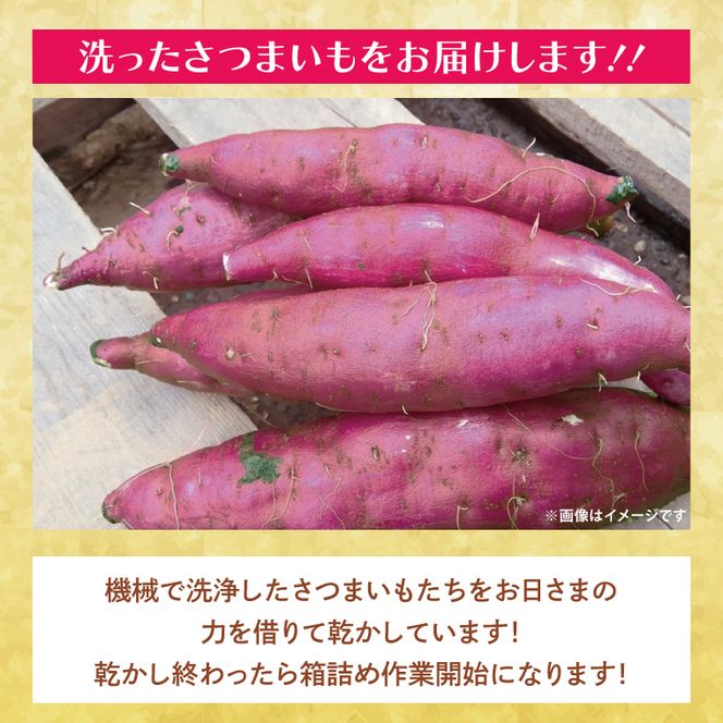 【2026年8月中旬より順次発送】★訳あり★茨城県行方市特産　新さつまいも（紅はるか）サイズミックス 約10kg｜訳あり わけあり 訳アリ さつまいも サツマイモ さつま芋 紅はるか べにはるか 芋 いも 茨城県産 行方市(FU-3)