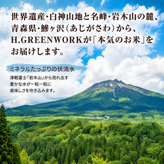 先行予約 令和8年産 はれわたり 玄米 10kg(5kg×2) [H.GREENWORK] 青森県 鰺ヶ沢産 / お米 こめ おこめ ごはん 特A 評価 備蓄 健康 津軽