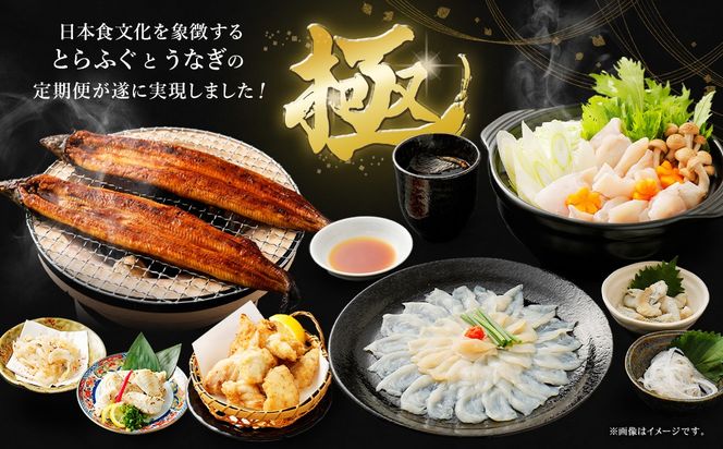 【2回定期便】【極】季節めぐり定期便1 ふぐ フグ 河豚 とらふぐ トラフグ てっさ てっちり うなぎ ウナギ 鰻 熊本県 上天草市