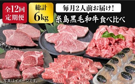 【全12回定期便】 糸島 黒毛和牛 食べ比べ セット 2人前 約 6 kg【月1回】 《糸島》 【糸島ミートデリ工房】 [ACA111] 黒毛 和牛 ヒレ サーロイン 定期 ステーキ 焼肉 BBQ すき焼 しゃぶしゃぶ
