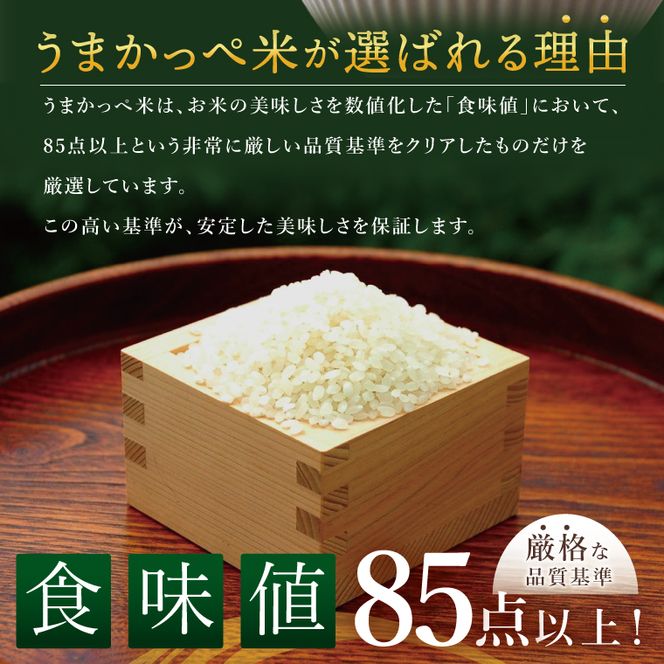 令和7年産　奥久慈の恵みうまかっぺ米（コシヒカリ）2kg×2袋 計4kg｜茨城県 大子町 お米 白米 精米 ブランド米 銘柄米 食味値 ふっくら もちもち （AH001-2）