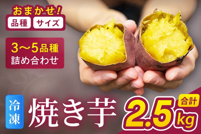 冷凍焼き芋 『Sea Sweet』 2.5kg 品種おまかせ詰め合わせ  3～5種類 詰合せ【 紅はるか / きみまろこ / 紫いも / 紅まさり / 紅あずま / 栗かぐや 】 真空パック 個包装 冷凍 焼き芋 さつまいも やきいも スイーツ 産地直送