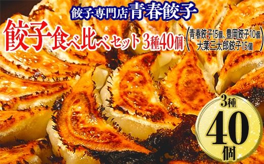 餃子専門店青春餃子 餃子食べ比べセット 3種40個