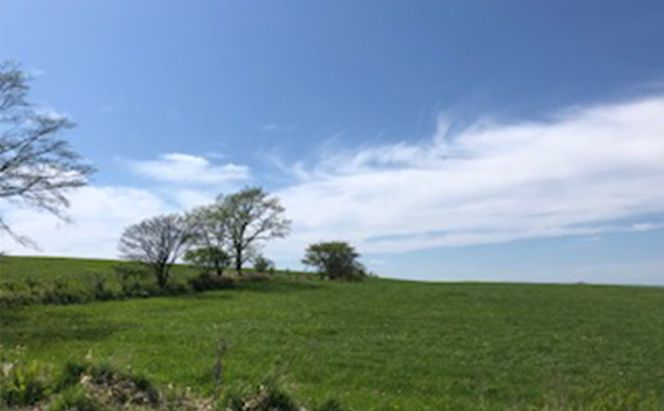  あっけし極みるくあいす10個  北海道 牛乳 乳製品 ミルク アイス アイスクリーム お菓子 