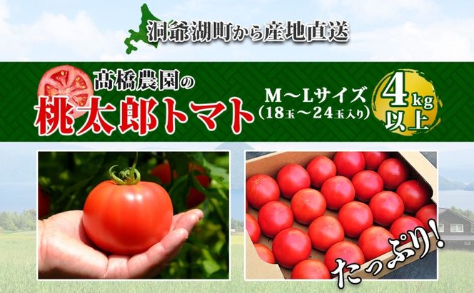 北海道 高橋農園 桃太郎トマト 4kg以上 M～Lサイズ (18玉～24玉) 5月下旬～9月上旬頃お届け 大玉トマト tomato 産地直送 農家直送 新鮮 野菜 安心 安全 とれたて 完熟 洞爺湖町 送料無料