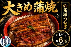 a60-022　浜名湖うなぎ【特大】蒲焼6尾