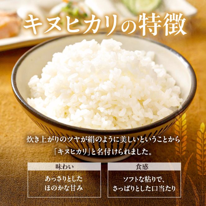 特別寄附額 米 令和7年産 有機 ・ 減農薬栽培米 キヌヒカリ 白米 10kg（5kg×2） 数量限定 お米 精米 単一品種 単一原料米 国産 兵庫県産